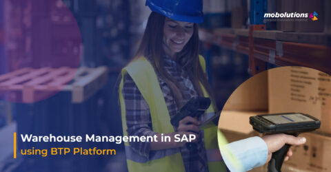 sap extended warehouse management system